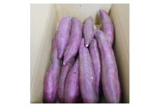 サツマイモ(紅あずま)5kg×2箱【1249036】