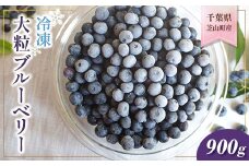 ＜栽培期間中農薬不使用＞大粒冷凍ブルーベリー 900g「るりしずく」 千葉県 芝山町産【1350533】