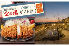 成田空港温泉 空の湯のギフト券 入浴とお食事のセット 3,000円分【1367094】