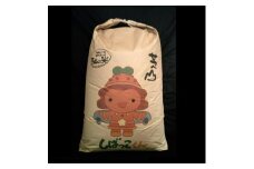 令和5年産　千葉県芝山町産　コシヒカリ　玄米30kg　色選処理済【1377459】