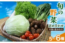 ＜空の駅 風和里しばやま＞旬野菜の詰め合わせ「大地の恵みセット」5～6種【1071777】