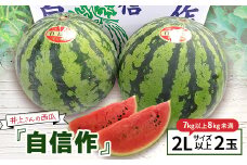 ＜先行受付・2025年出荷＞井上さんの西瓜「自信作」2Lサイズ以上 2玉【1428321】