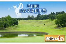 芝山町ゴルフ場利用券 4枚【1440403】