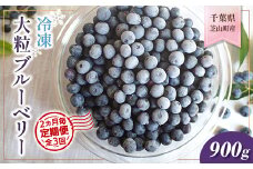 ＜2ヵ月毎定期便＞大粒冷凍ブルーベリー900g 全3回【4007483】