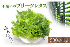 不揃いのレタスたち(プリーツレタス)500g×1袋【1455410】