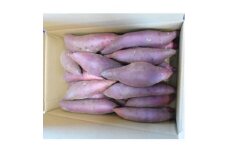 サツマイモ(紅はるか)5kg【1479171】