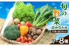 ＜空の駅 風和里しばやま＞旬野菜の詰め合わせ「大地の恵みセット」7～8種【1071778】