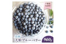 ＜2ヵ月毎定期便＞千葉県芝山町産 大粒冷凍ブルーベリー るりしずく 900g全3回【4069223】