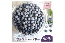 ＜2ヵ月毎定期便＞千葉県芝山町産 大粒冷凍ブルーベリー るりしずく 900g全3回【4069223】