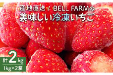 農家直送!削りイチゴパフェも楽しめるBELL FARMの美味しい冷凍いちご2kg＜苺1kg×2箱＞【1013445】