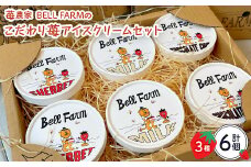 イチゴ農家 Bell Farm のこだわりイチゴ アイスクリーム詰め合わせセット　(3種×2個)6個【1082439】