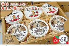 農家直送!BELL FARMの美味しい苺シャーベット　2種×3　6個セット【1384266】