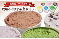 ＜行木牧場のアイスクリーム＞牧場おすすめ6個セット「しぼりたて牛乳で作りました」【1491605】