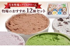 ＜行木牧場のアイスクリーム＞牧場おすすめ12個セット「しぼりたて牛乳で作りました」ZE-3rr【1491609】