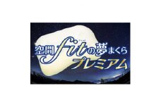 ＜枕＞空間fit(フィット)の夢まくらプレミアム「頭をのせれば夢ごこち…」【1491824】