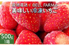 農家直送だから苺本来の美味しさ!BELL FARMの冷凍 いちご500g 収穫当日冷凍の苺【1506089】