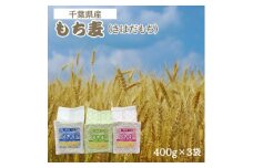 もち麦セット　食物繊維たっぷりの「もち麦」(きはだもち) 400g×3袋 千葉県横芝光町産【1522910】