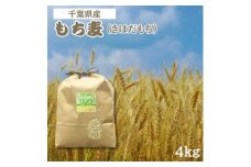 食物繊維たっぷりの『もち麦』(きはだもち) 4kg 千葉県横芝光町産　もち麦ごはん【1522911】