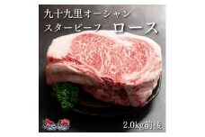 九十九里オーシャンスタービーフブロック(ロース)2.0kg前後【1529276】