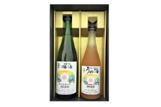 梅酒飲み比べセット「日本酒・純米大吟醸仕込うめ酒」と「日本酒・吟醸仕込梅酒」【1518409】