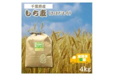 ＜毎月定期便＞食物繊維たっぷりの「もち麦」(きはだもち) 4kg 千葉県横芝光町産全6回【4056807】