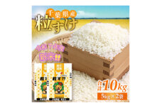 ＜令和7年産　新米予約＞千葉県産　粒すけ　精米10kg(5kg×2袋)【1628066】