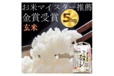 ＜令和7年産＞＜新米＞ ミルキークイーン　玄米5kg　金賞・千葉大学共同研究米【1666858】