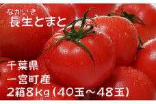長生（ながいき）とまと２箱（40～48個(約8kg)）一宮町産 トマト