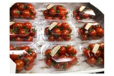 【石井農園】高糖度フルーツミニトマト「Makana(マカナ)」 やみつきパック １５０g×９パック