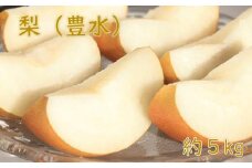 梨（豊水）（約５kg）【2025年発送分】