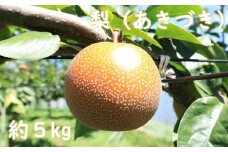 梨（あきづき）（約５kg）【2025年発送分】