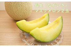 長生マスクメロン２玉（約3.5kg）【2025年夏発送分】