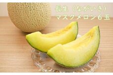 長生マスクメロン１箱６玉入（約９kg）【2025年夏発送分】