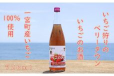 千葉・長生の幸 “ベリータウン”いちごのお酒