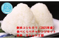 千葉県一宮町産コシヒカリ（白米１０kg）食べくらべチャレンジセット　令和７年産米【2025年発送分】　一等米　５kg　２袋　白米　精米　先行予約
