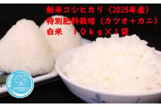千葉県一宮町産特別肥料栽培『カツオ＋カニ』コシヒカリ（白米１０㎏）令和７年産米【2025年発送分】　一等米　10kg　１袋　白米　精米　先行予約