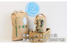 千葉県一宮町産コシヒカリ（玄米３０㎏）令和７年産米【2025年発送分】　一等米　先行予約