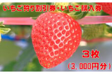 いちご狩り割引券・いちご購入券　３枚（3,000円分）