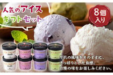 【新生酪農】人気のアイスギフトセット8個入り F21G-068