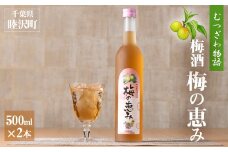 むつざわ物語 梅酒「梅の恵み」500ml×2本 F21G-092