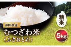 令和5年産米 むつざわ米（ふさおとめ）精米 5kg 澤田農産 F21G-124