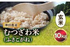 令和5年産米 むつざわ米 （ふさこがね） 玄米 10kg 澤田農産 F21G-161