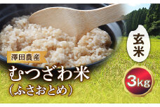 令和5年産米 むつざわ米（ふさおとめ）玄米 3kg 澤田農産 F21G-168