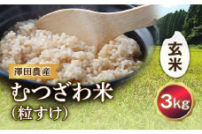 令和5年産米 むつざわ米（粒すけ）玄米 3kg 澤田農産 F21G-192