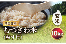 令和5年産米 むつざわ米（粒すけ）玄米 10kg 澤田農産 F21G-193