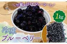 山田農園 冷凍ブルーベリー 1kg 国産 無農薬 有機栽培  果物 フルーツ 冷凍フルーツ 千葉県 睦沢町 F22G-213