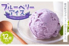 睦沢町山田農園のブルーベリーアイス 12個入り 千葉県 睦沢町 アイス F21G-255