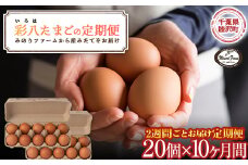 【みのりファーム】2週間ごとにお届け！「彩八（いろは）」たまご 20個 （計20回10ヶ月） 千葉県 睦沢町 卵 隔週 F21G-252