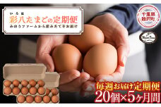 【みのりファーム】毎週お届け！「彩八（いろは）」たまご 20個 （5か月間 毎週 計20回）千葉県 睦沢町 卵 F21G-244
