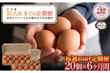 【みのりファーム】毎週お届け！「彩八（いろは）」たまご 20個 （6か月間 毎週 計24回）千葉県 睦沢町 卵 F21G-245